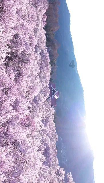 集成灶开关阀门坏了，怎么换？游戏画面