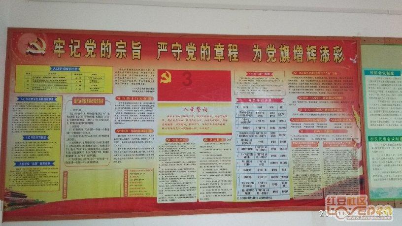 杨紫整容失败,近照曝光太吓人